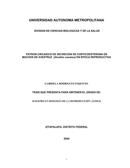 Universidad Autonoma Metropolitana