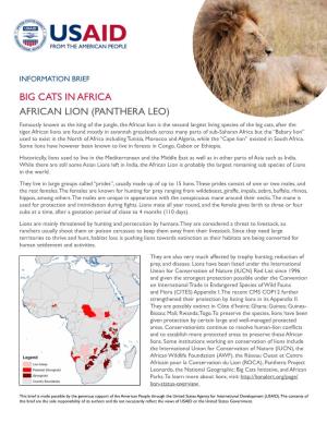 Big Cats in Africa Factsheet