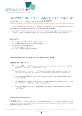 Le Risque De Suicide Parmi Les Personnes LGBT