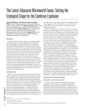 The Latest Ediacaran Wormworld Fauna: Setting the Ecological Stage for the Cambrian Explosion