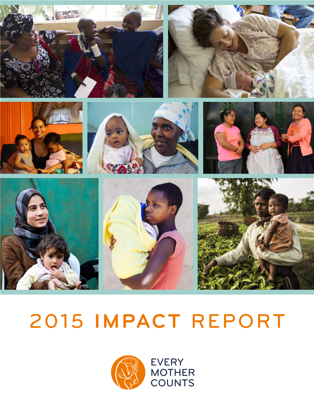 2015 Impact Report Table of Contents