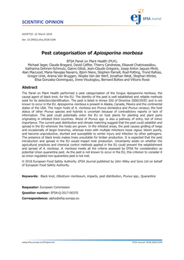 Pest Categorisation of Apiosporina Morbosa
