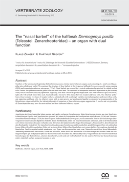 The “Nasal Barbel” of the Halfbeak Dermogenys Pusilla (Teleostei: Zenarchopteridae) – an Organ with Dual Function