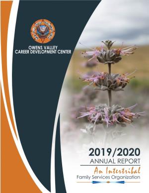 OVCDC FY19-20 Annual Report