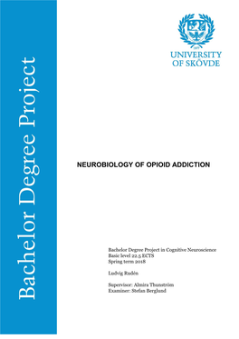 Neurobiology of Opioid Addiction