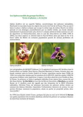 Les Ophrys Tardifs Du Groupe Fuciflora