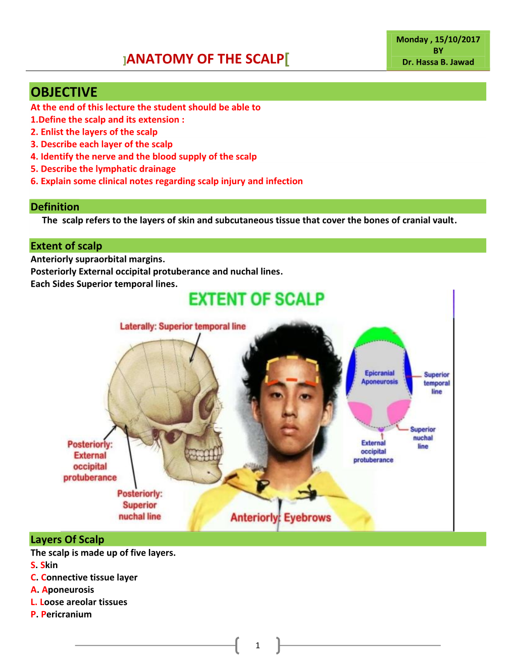 ANATOMY of the SCALP] Dr