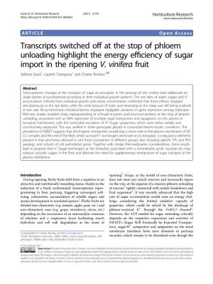 Transcripts Switched Off at the Stop of Phloem Unloading Highlight the Energy Efﬁciency of Sugar Import in the Ripening V