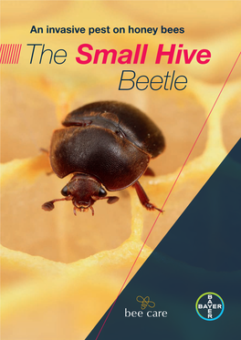 The Small Hive Beetle 2 the Small Hive Beetle INTRODUCTION 3