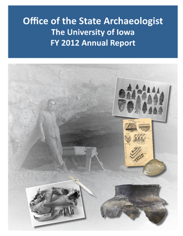 The University of Iowa FY 2012 Annual Report
