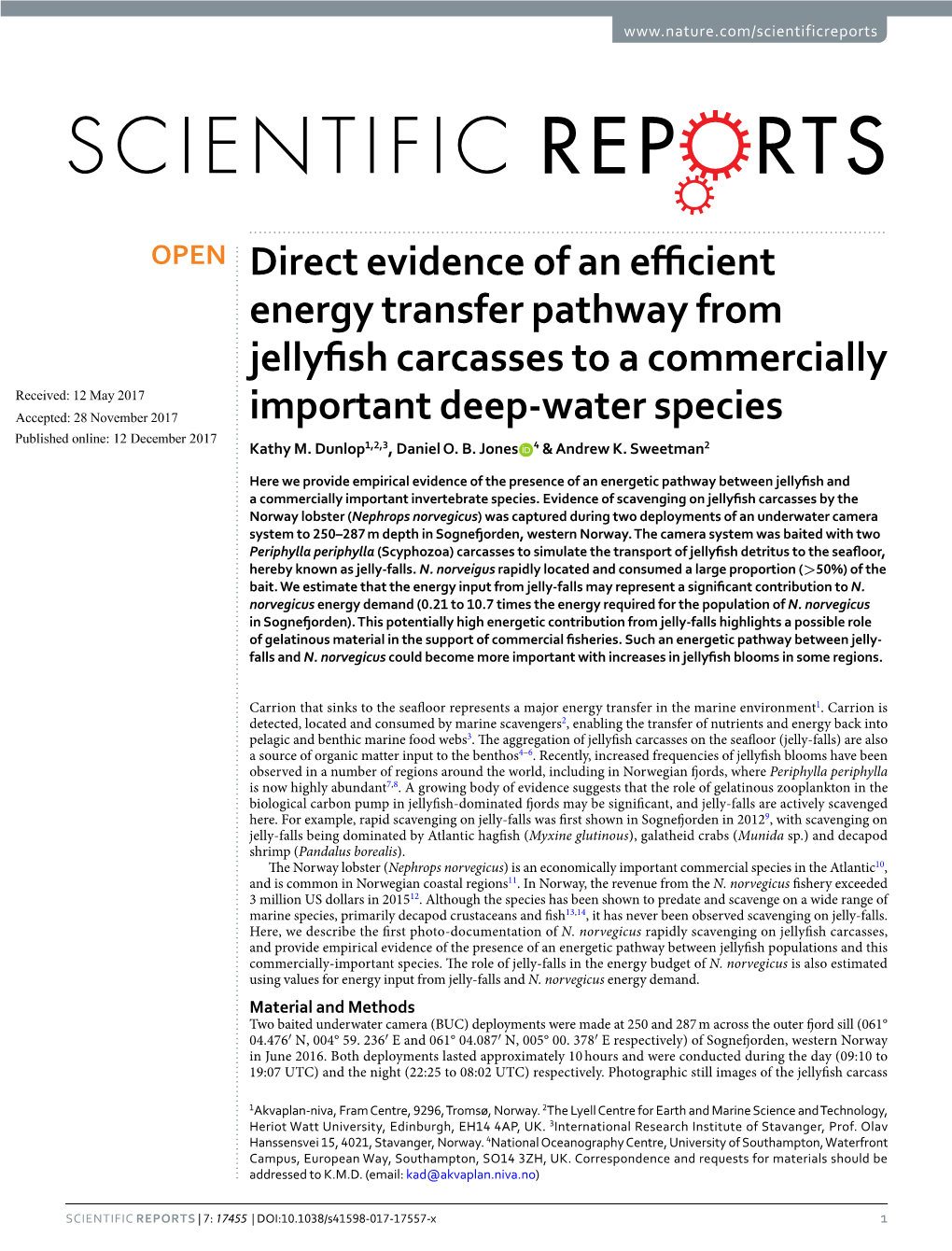 Direct Evidence of an Efficient Energy Transfer Pathway from Jellyfish Carcasses to a Commercially Important Deep-Water Species