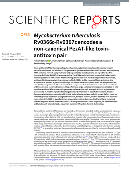 Mycobacterium Tuberculosis Rv0366c-Rv0367c Encodes a Non