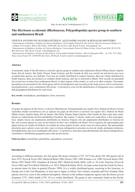 The Blechnum Occidentale (Blechnaceae, Polypodiopsida) Species Group in Southern and Southeastern Brazil