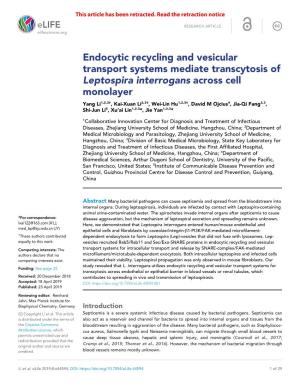 Endocytic Recycling and Vesicular Transport Systems Mediate