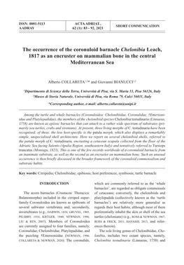 The Occurrence of the Coronuloid Barnacle Chelonibia Leach, 1817 As an Encruster on Mammalian Bone in the Central Mediterranean Sea