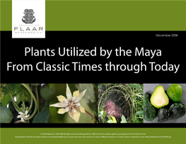 Plants Utilized by the Maya from Classic Times Through Today
