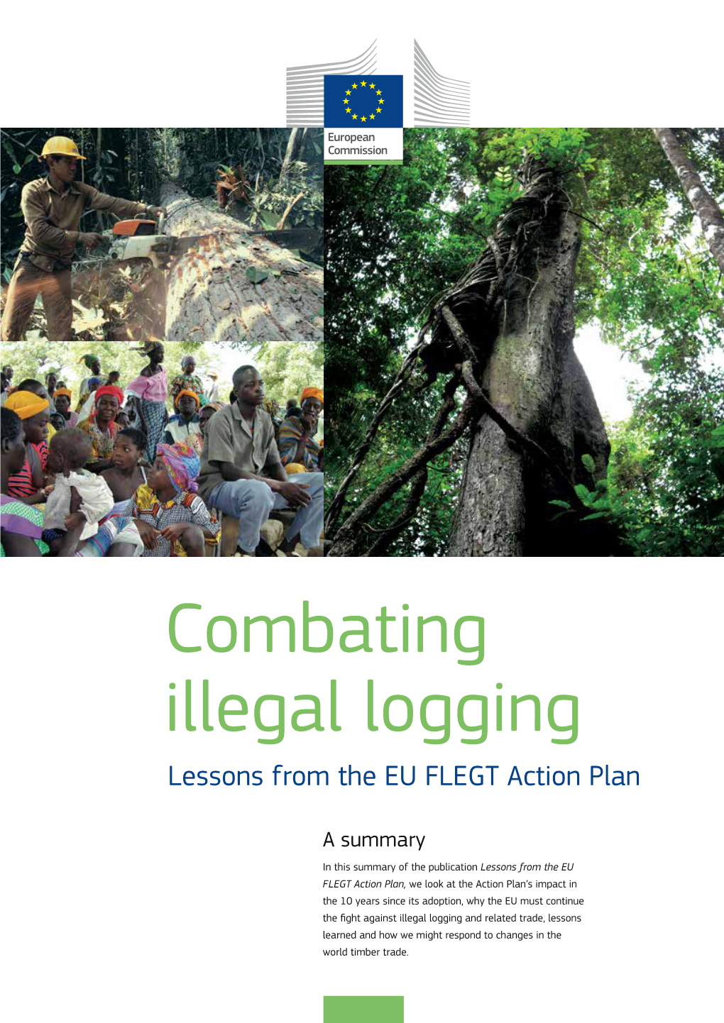 Combating Illegal Logging Lessons from the EU FLEGT Action Plan