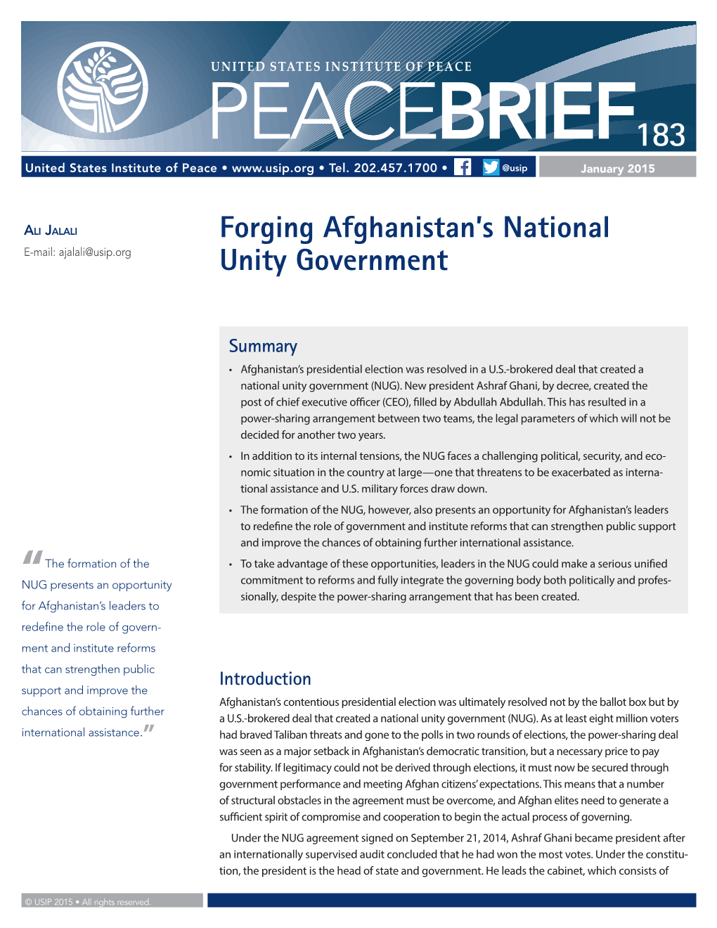 Forging Afghanistan's National Unity Government