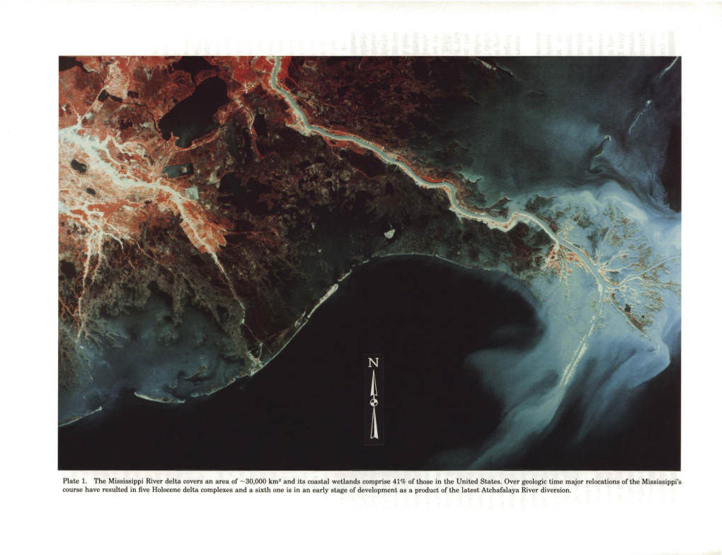 Plate 1. the Mississippi River Delta Covers an Area Of