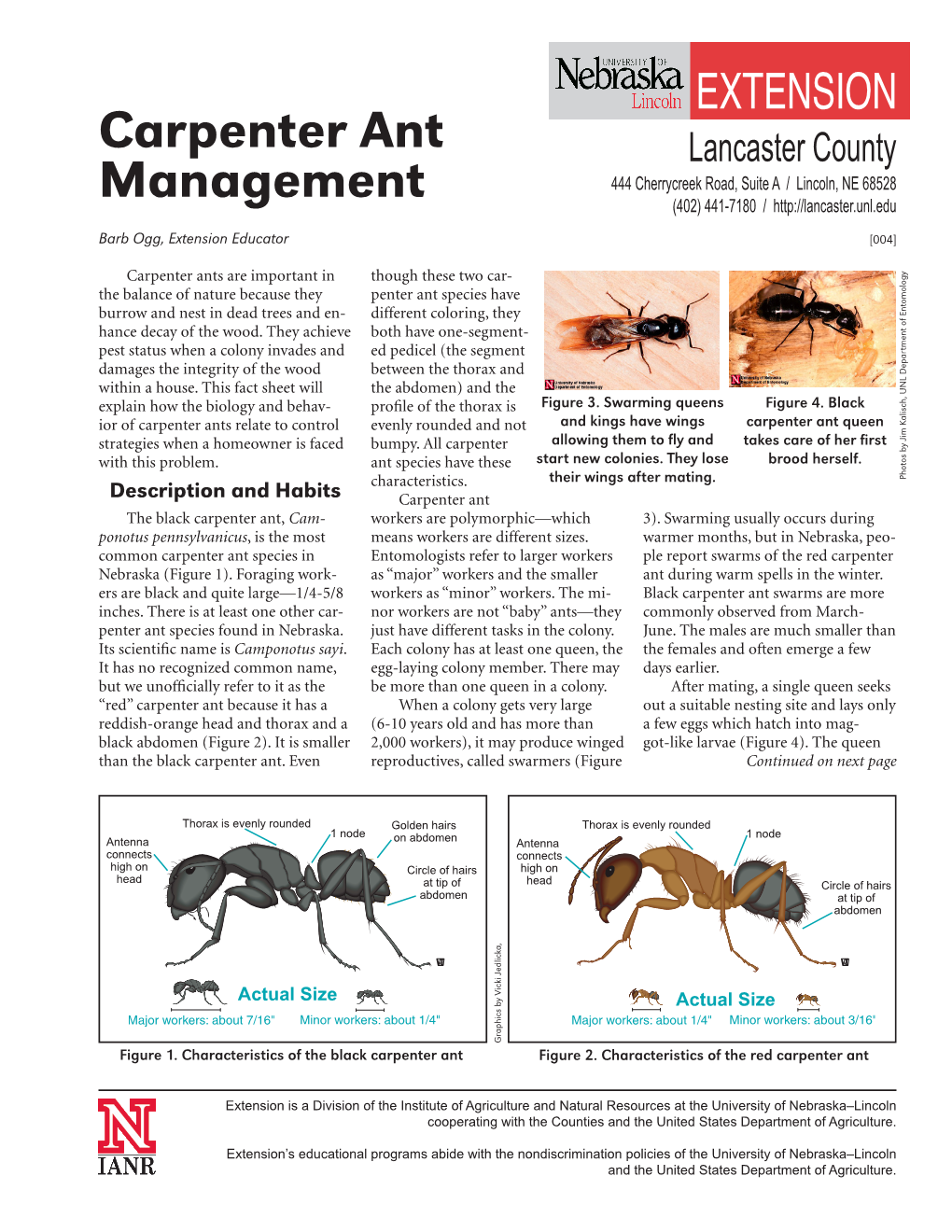 FPL-Insects Carpenter Ants U of Nebraska 2004