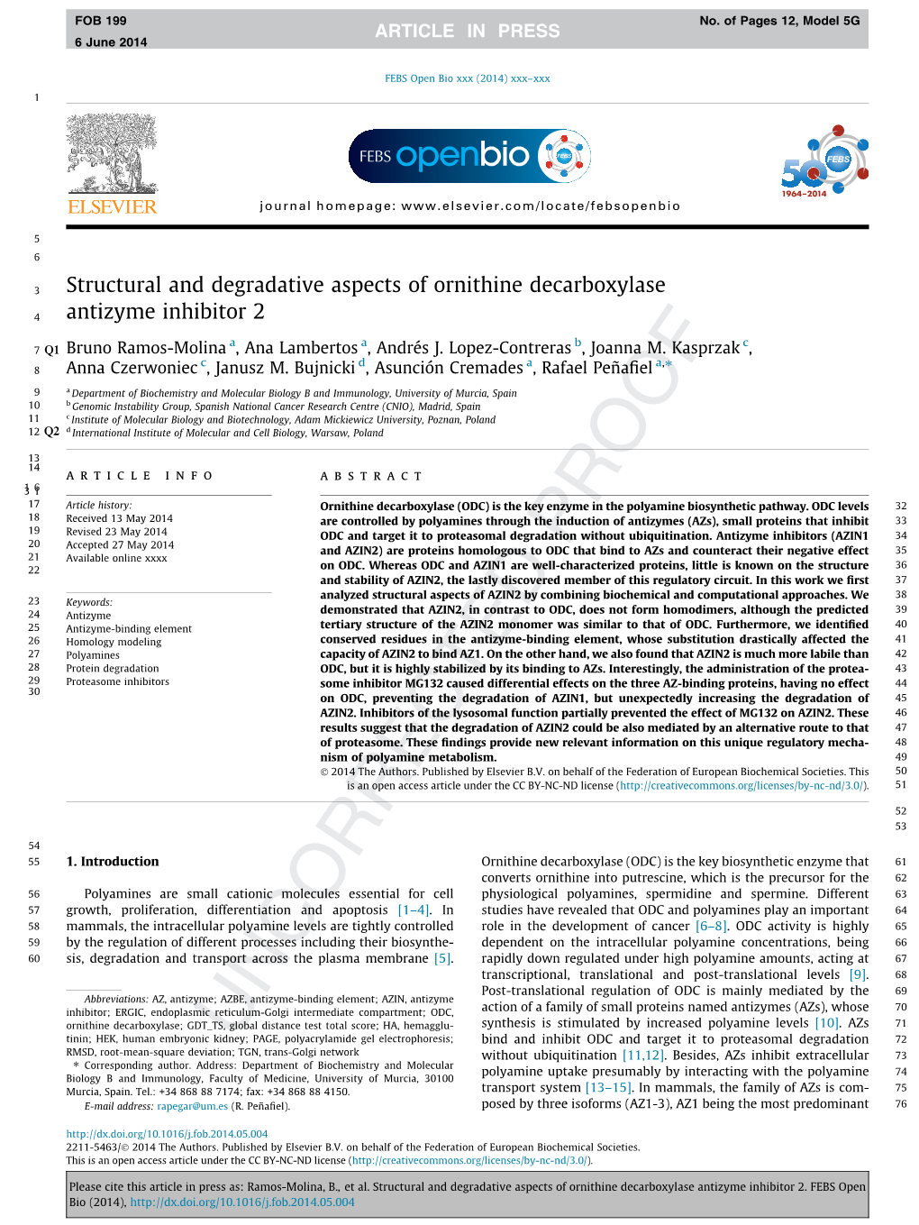 Structural and Degradative Aspects of Ornithine Decarboxylase Antizyme Inhibitor 2