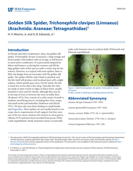Golden Silk Spider, Trichonephila Clavipes (Linnaeus) (Arachnida: Araneae: Tetragnathidae)1 H