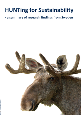 Hunting for Sustainability: a Summary of Research Findings from Sweden