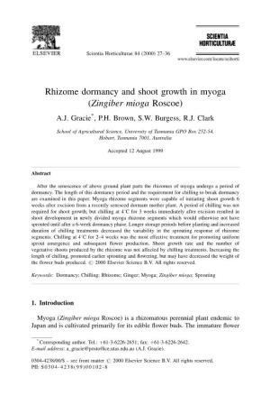 Rhizome Dormancy and Shoot Growth in Myoga (Zingiber Mioga Roscoe) A.J