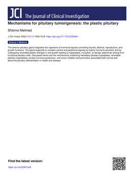 Mechanisms for Pituitary Tumorigenesis: the Plastic Pituitary