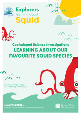 Learning About Our Favourite Squid Species