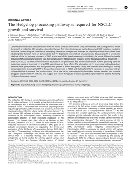 The Hedgehog Processing Pathway Is Required for NSCLC Growth and Survival