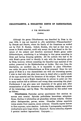Chloothamnus, Bambusaceae Although by 1854, „Die by PRANTL
