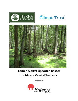 Carbon Market Opportunities for Louisiana's Coastal Wetlands