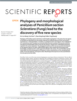 Phylogeny and Morphological Analyses of Penicillium Section