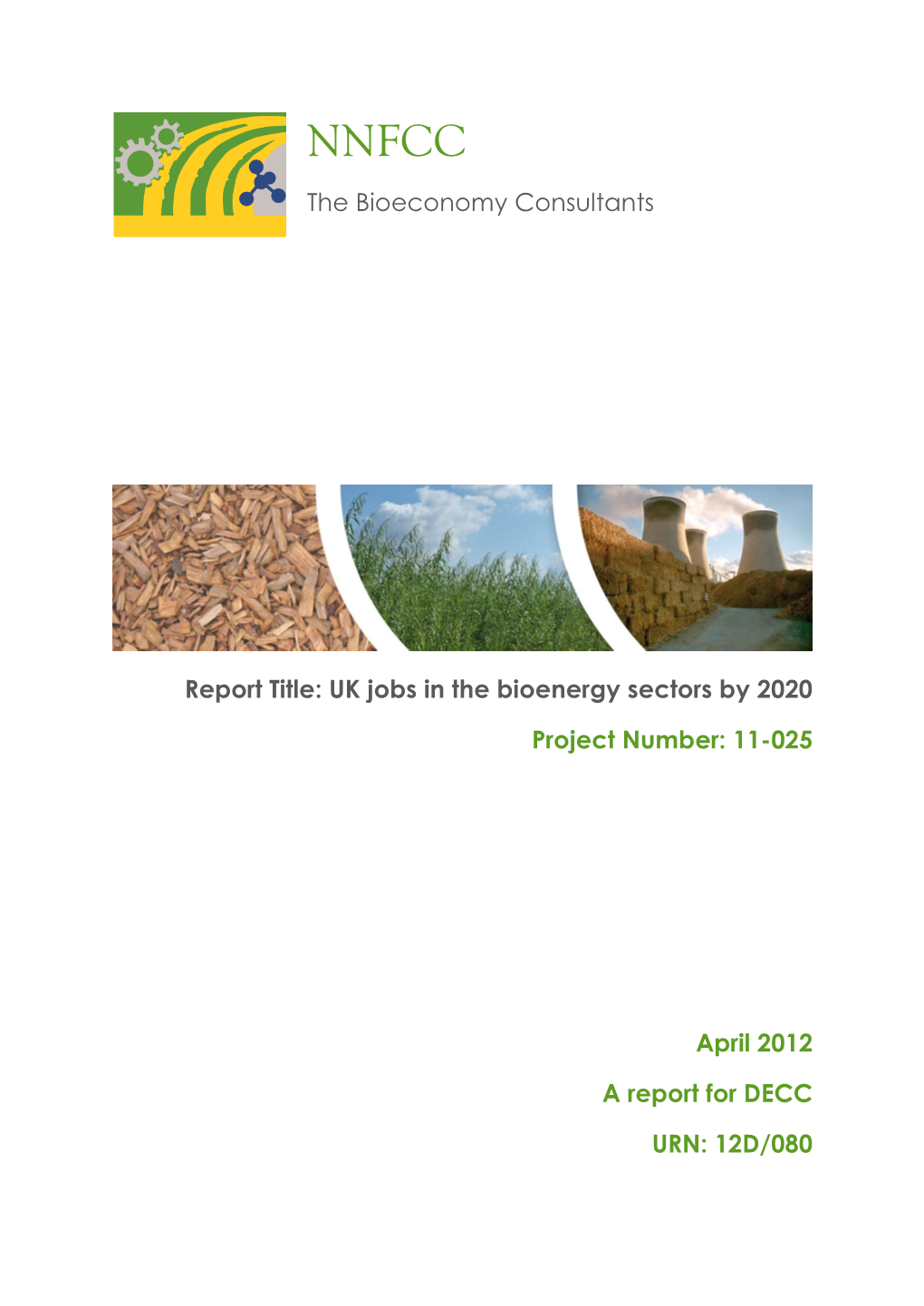 UK Jobs in the Bioenergy Sectors by 2020