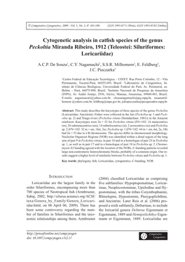 Cytogenetic Analysis in Catfish Species of the Genus Peckoltia Miranda