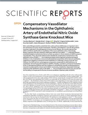 Compensatory Vasodilator Mechanisms in the Ophthalmic Artery of Endothelial Nitric Oxide Synthase Gene Knockout Mice