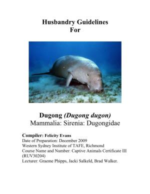 Dugong Dugon) Mammalia: Sirenia: Dugongidae