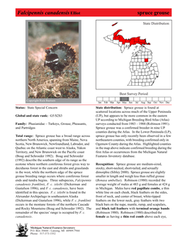 Falcipennis Canadensis Elliot Spruce Grouse