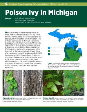 Poison Ivy in Michigan Authors: Erin Hill and Angela Tenney Michigan State University Department of Plant, Soil and Microbial Sciences