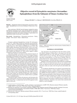 Objective Record of Epinephelus Marginatus (Serranidae: Epinephelinae) from the Sultanate of Oman (Arabian Sea)