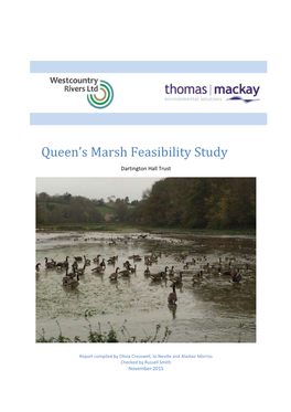 Queen's Marsh Feasibility Study
