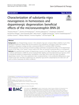 Characterization of Substantia Nigra