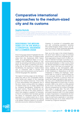 Comparative International Approaches to the Medium-Sized City and Its Customs