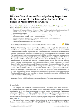 Weather Conditions and Maturity Group Impacts on the Infestation of First Generation European Corn Borers in Maize Hybrids in Croatia