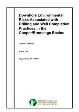 Downhole Environmental Risks Associated with Drilling and Well Completion Practices in the Cooper/Eromanga Basins