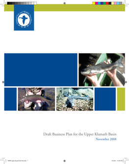 Draft Business Plan for the Upper Klamath Basin November 2008