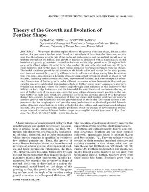 Theory of the Growth and Evolution of Feather Shape