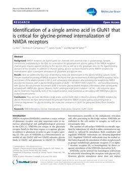 Identification of a Single Amino Acid in Glun1 That Is Critical for Glycine-Primed Internalization of NMDA Receptors