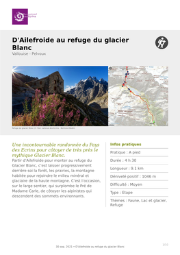 D'ailefroide Au Refuge Du Glacier Blanc Vallouise - Pelvoux